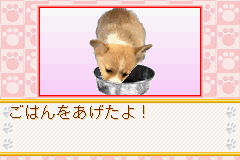 Kawaii Pet Game Gallery Screenthot 2